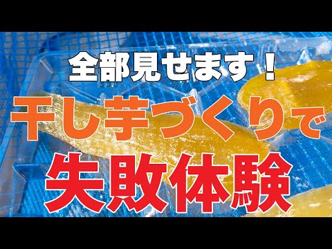 干し芋づくりで失敗しない!よくあるミス5選と成功のコツ