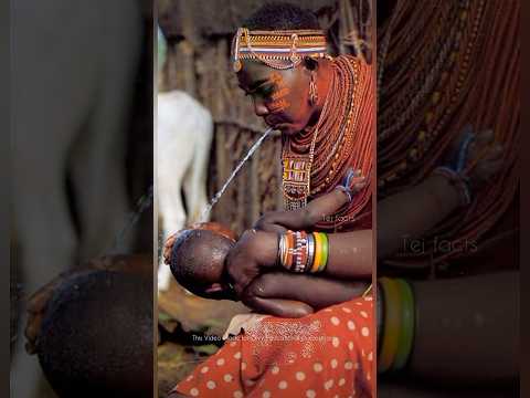 Maasai Tribe Tradition 😱 #telugufacts #amazingfacts #factsintelugu #shorts #tejfacts