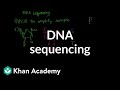 Exploring DNA Sequencing and Biomolecules