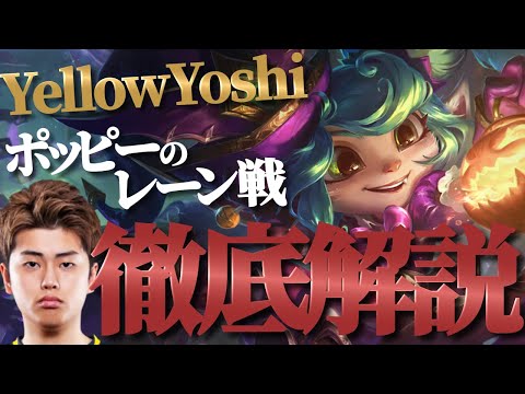 【ポッピー vs エイトロックス,フィオラ】元ポッピーOTPプロによる！ポッピーレーン戦徹底解説！！【AXIZ YellowYoshi 解説】