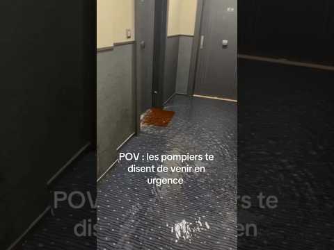 Oh non le chat il est traumatisé ! 💀