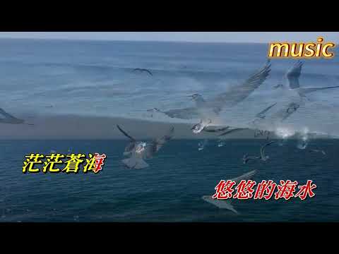 海浪淚痕〈華語〉張舒娟KTV 伴奏 no vocal 無人聲 music 純音樂 karaoke 卡拉OK 伴唱海浪淚痕〈華語〉張舒娟