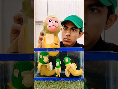 WHO'S MY BIGGEST CHIMPANZINI BANANINI BRAINROT FIGURE HERE #Shorts