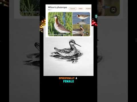 I’m on the duck stamp!! (kinda) this was decided at LAST year’s competition- not this year’s #duck