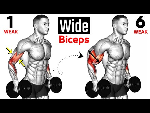 7 BEST Exercises for WIDER BICEPS