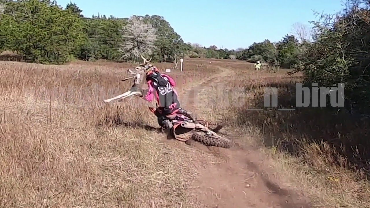 Footage of a Deer Leaping into a Dirt Biker Mid-Race