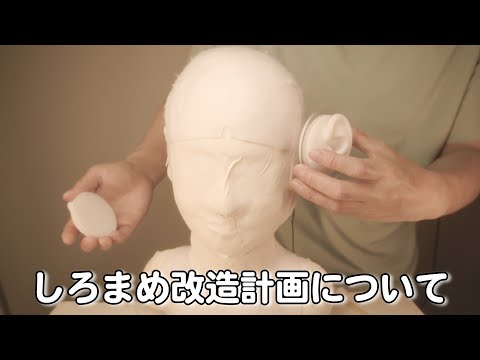 【ASMR】しろまめ改造計画について話します【囁き声あり】