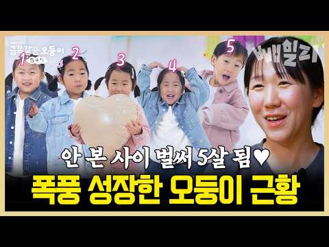 다섯 쌍둥이 얼마나 컸을까?🐥 벌써 5살이 된 군인 부부 오둥이 근황 공개✨ | #금쪽같은오둥이 1회