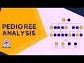 Understanding Pedigree Charts and Hemophilia B