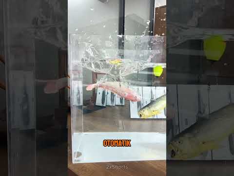 Ölü Balığı Hareket Ettiren Akıllı Cihaz! 🎣🐟