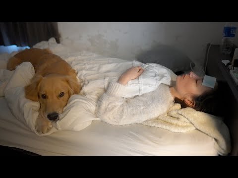 体調不良のママの傍から愛犬が離れません・・・