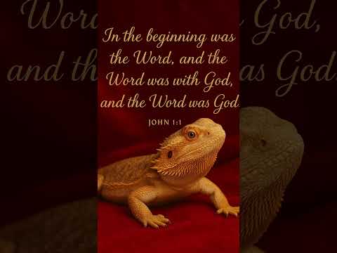 #worshipmusic #gospelmusic #christianmusic #music #love #dailybibleverse #beardeddragon