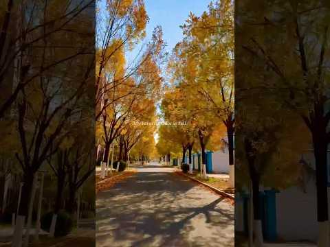 It's fall and everything feels soft again!!! #fallseason