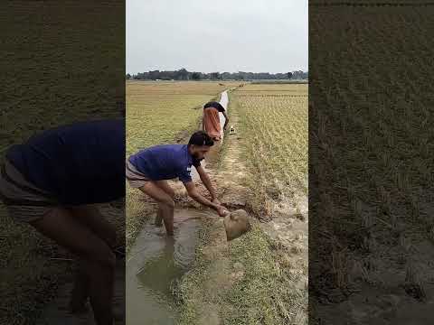 পানি কে ছাড়লো? #comedy #funny #shorts #viralvideo #viralreels #foryou #subscribe