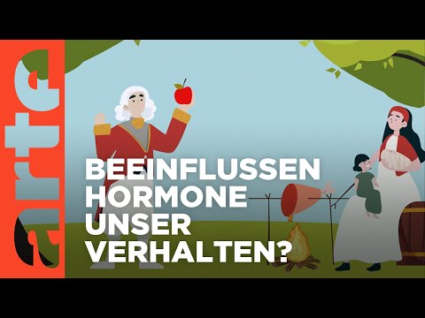 Im Reich der Hormone - Mythos und Wirklichkeit | Doku HD Reupload | ARTE