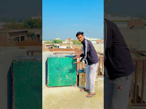 Fibre Hata Diya 🥰 #shorts #viralshorts #minivlog #kabootar #pets