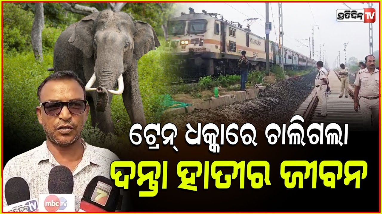 ଢେଙ୍କାନାଳ ଟ୍ରେନ ଧକ୍କାରେ ଚାଲିଗଲା ଦନ୍ତାର ଜୀବନ ! Elephant Death in tarain accident ,Dhenkanal
