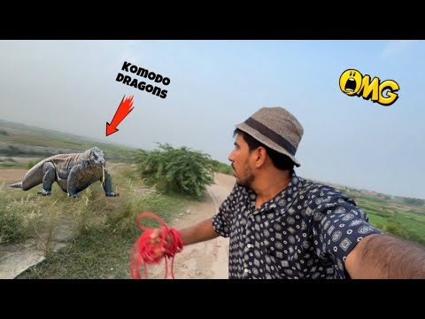 Dragon Sa Bach Ka Bhag Gay 😱