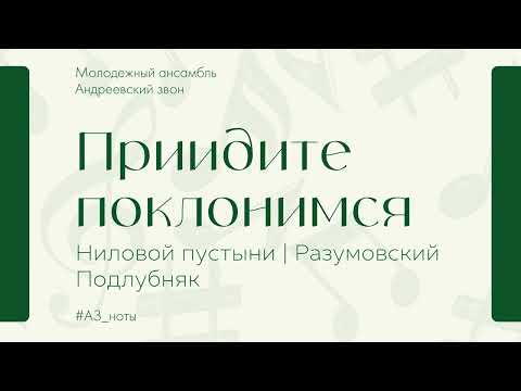 "Приидите поклонимся" (Ниловой пустыни, муз. Д. Разумовский и муз. Р. Подлубняк) - Андреевский звон