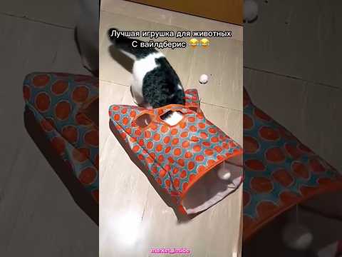 🐱 Игрушка для кота за 140₽ / Артикул в закрепленном комментарии #находки #вб #вайлдберриз
