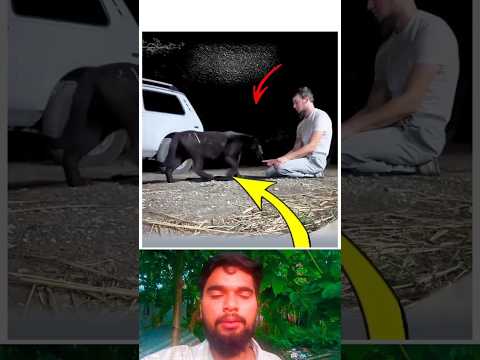 kullu Nafsin Zaiqatul Maut p-41 #القرآن #تلاوات #القارئ #عبدالرحمن_مسعد #shorts #quran 🥺😭😭