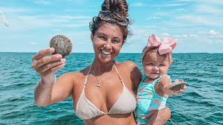 SCALLOPING (10 MONTH OLD) Crystal River Fl