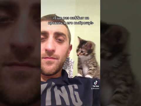 Маленький кот Ральф, который обрел дом❤️ Забирайте малышей с улицы!