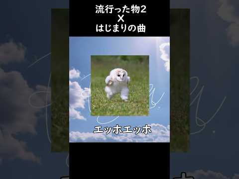 はじまりの曲x流行った物2 #音MAD #ネットミーム #クロムミーム