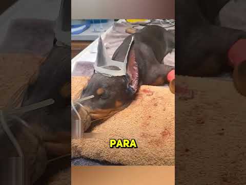 Por qué se sigue haciendo esto 😣