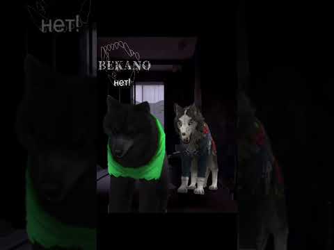 #wildcraft у меня появился водяной знак спасибо ириске;)