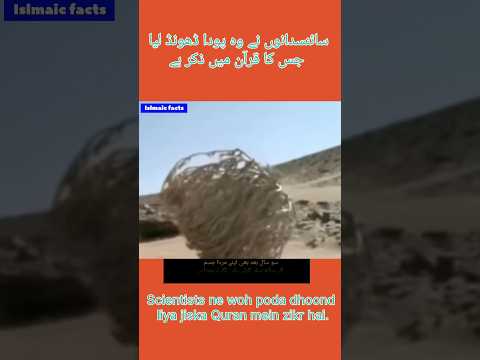 Scientists ne woh poda dhoond liya jiska Quran mein zikr hai. #shorts  #viral