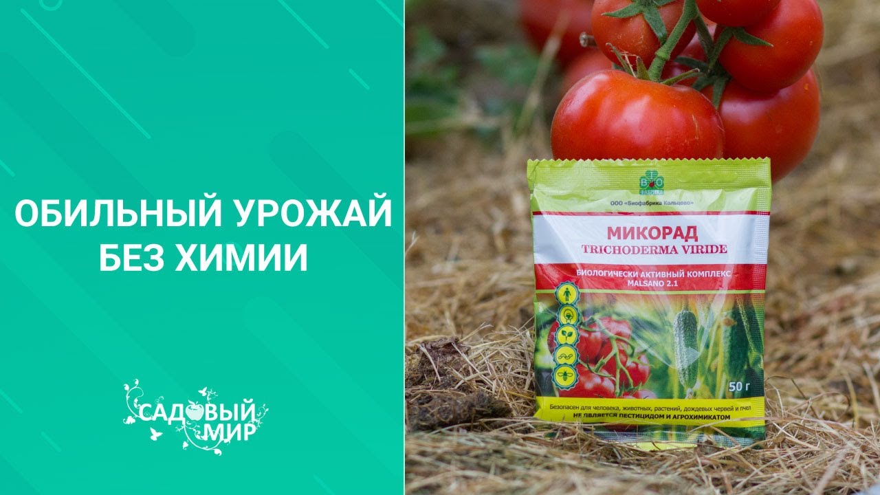 Обильный урожай без химии