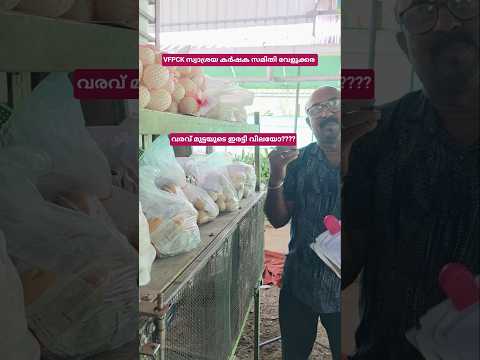 ഇതുപോലെയാണോ നിങ്ങളുടെ നാട്?? #shortsfeed #shortvideo #shorts #vfpcksks #agriculturetips