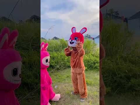 Cari kepala monyet #shorts #trending #funny