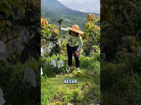 dikira buah mentah, lihat pedagang ini 😱#sehar #shorts