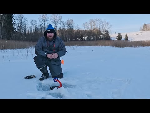 Devāmies uz ezeru pēc asariem un līdakām – kā mums gāja?