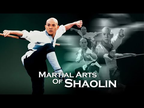 Martial Arts of Shaolin JET LI