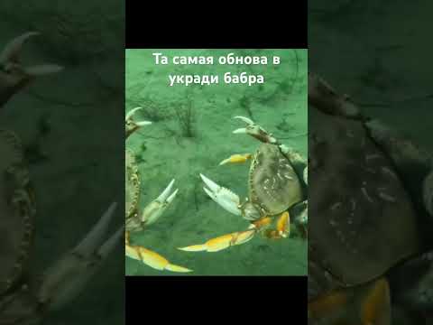 Обнова #подпишись_на_канал