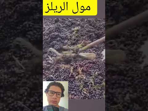شوفو هادشي 😅 #اختراعات_بسيطة #اختراعات_مدهشة