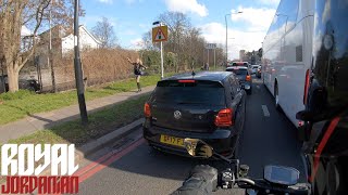 Daily Observations 305