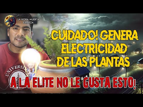 CUIDADO! Genera electricidad de las plantas, A LA ELITE no le gusta esto!