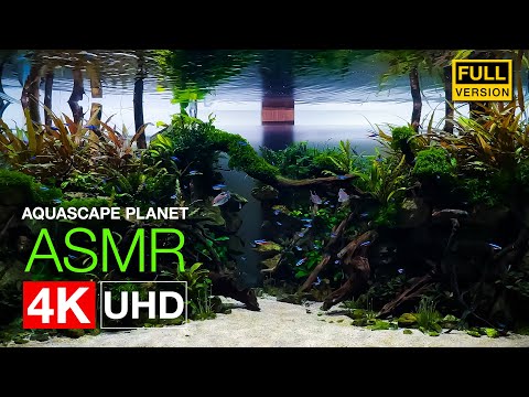 [ASMR] 120cm水景が完成するまで - 4K Ultra HD Remaster Edition -