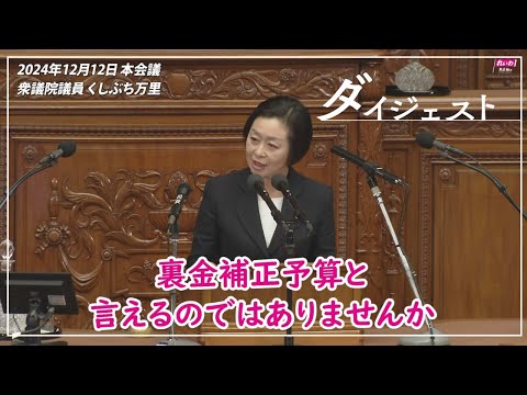 くしぶち万里【一体どこの国の政府かと、与党は自問自答してください！】2024年12月12日 衆議院・本会議【国会ダイジェスト】