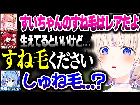 すいちゃんにすね毛を貰いに行くばんちょー【ホロライブ切り抜き/轟はじめ/星街すいせい/火威青/さくらみこ/宝鐘マリン/博衣こより/ReGLOSS/DEV_IS】