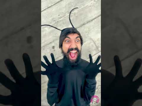 لا تصب الماء على النمل 😱 إنه خطير 🤡