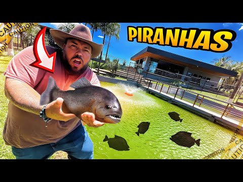 SOLTEI PIRANHAS NO LAGO DA FAZENDA REAÇÃO DOS MEUS AMIGOS AO VER !!!