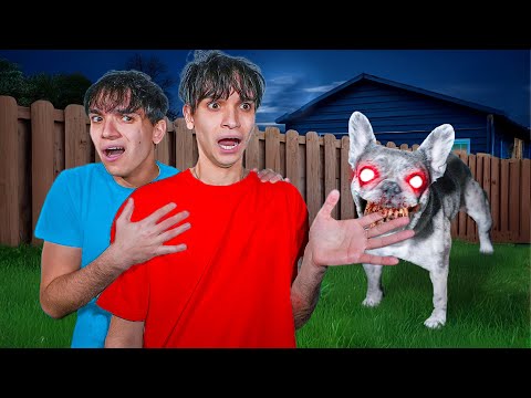 MY POSSESSED DOG BIT MY TWIN BROTHER!