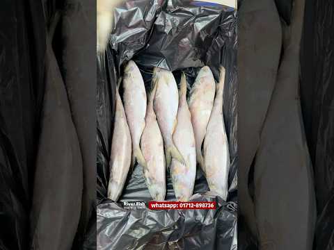 সৌদি আরব যাচ্ছে ৫০ হাজার টাকার টাকার মাছ