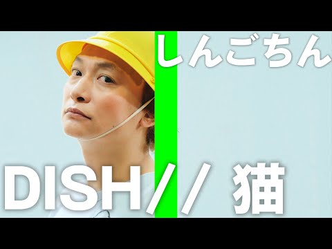 猫/DISH// 歌ってみた！しんごちん【香取慎吾】
