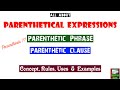 Understanding Parenthetical Expressions